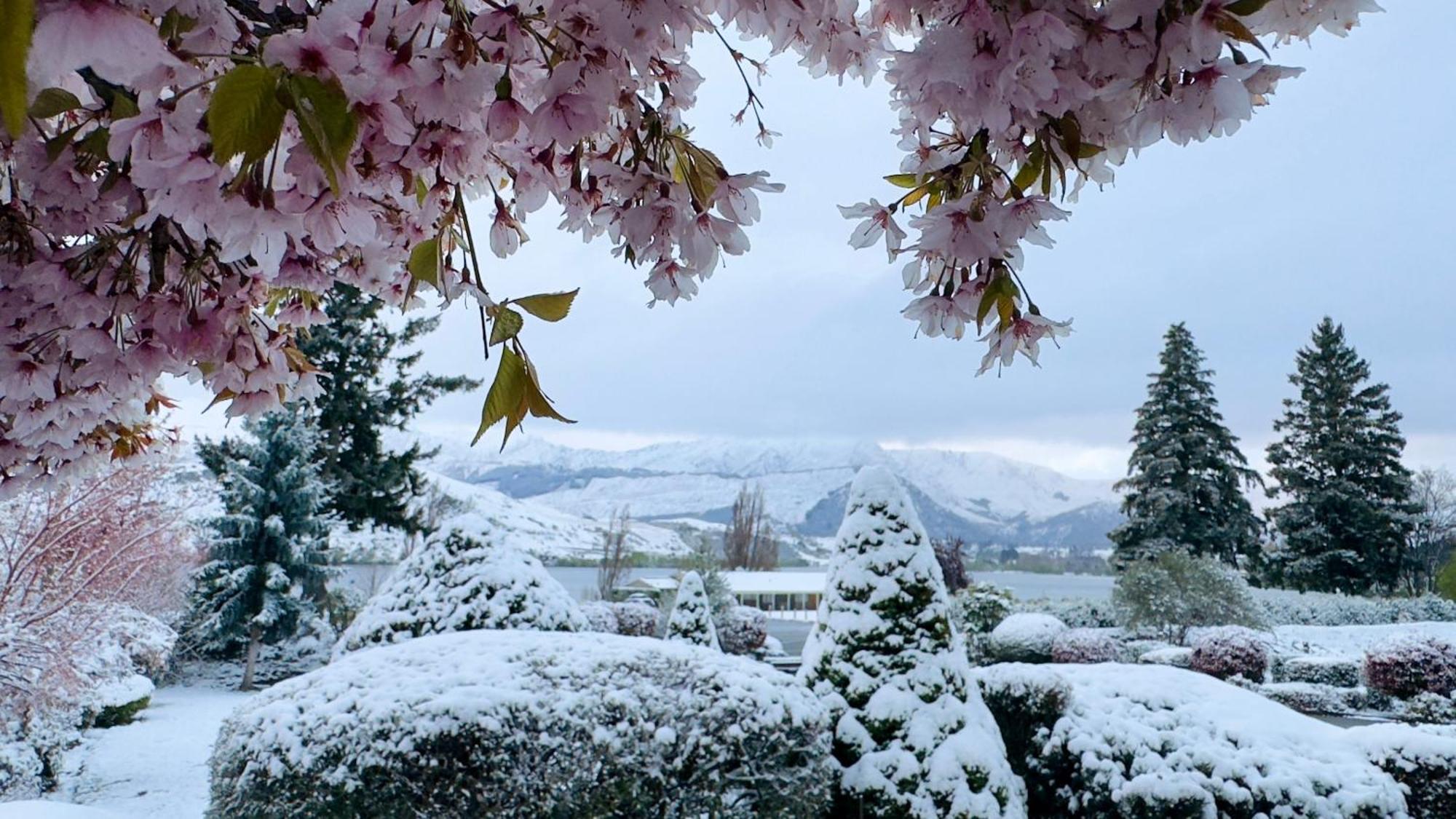The Shan'S Lodge Queenstown Buitenkant foto